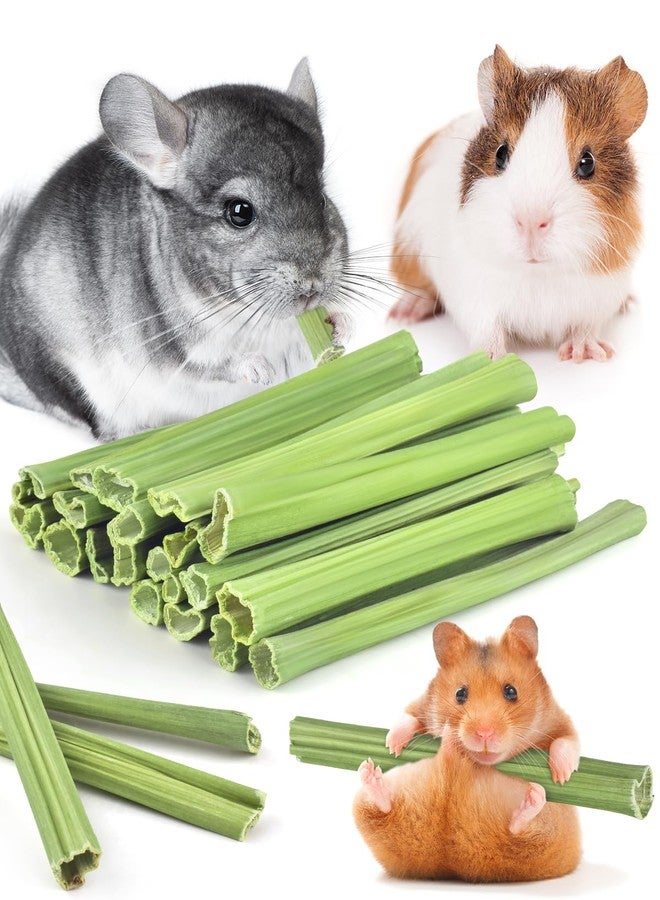 Bissap 25 PCS Guinea Pigs Chew Sticks, Natural Papaya Stems Bunny Chews Treats for Hamsters Chinchillas Small Animals Organic Molar Chewing Snack - Image 1